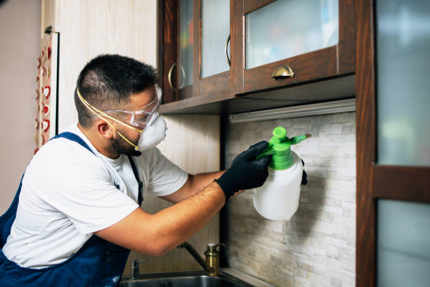 Professional Pest Control in Franklin Park, FL