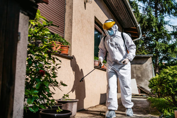 Best Commercial Pest Control Services  in Franklin Park, FL