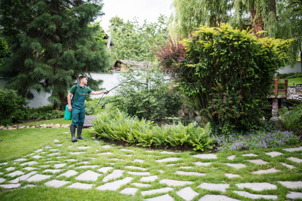 Best Wasp Removal Services  in Franklin Park, FL