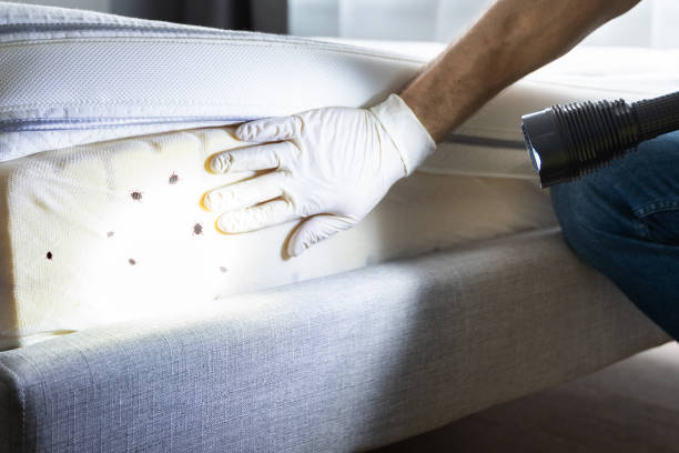 Best Exterminator Services  in Franklin Park, FL